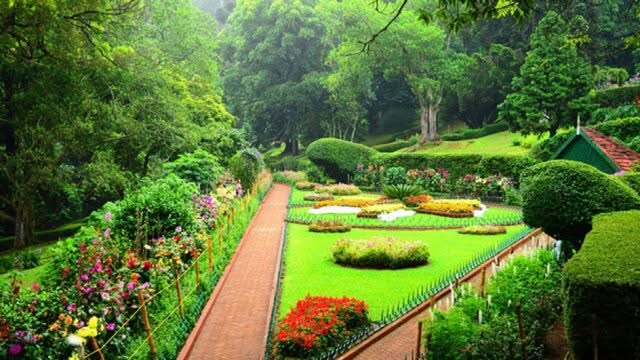 sims-park